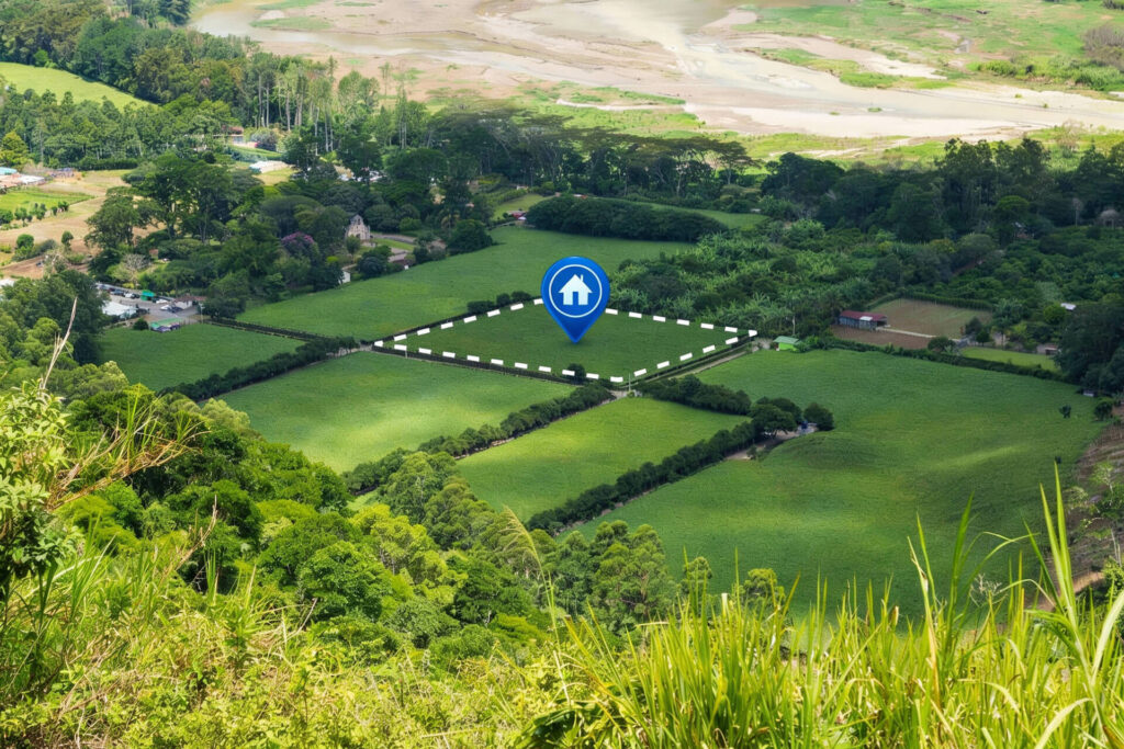Processus Terrain à vendre | Biome